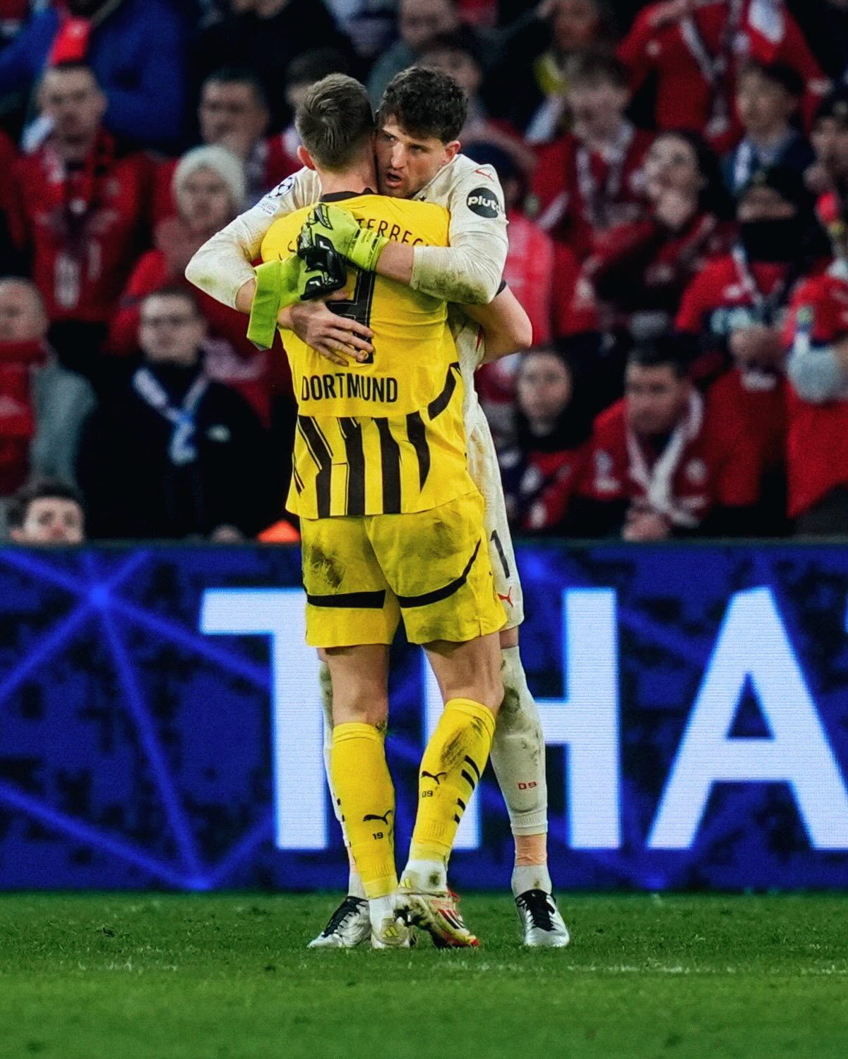 包含拉沃尔杯险胜戴维斯杯，鲁德统治全场的词条