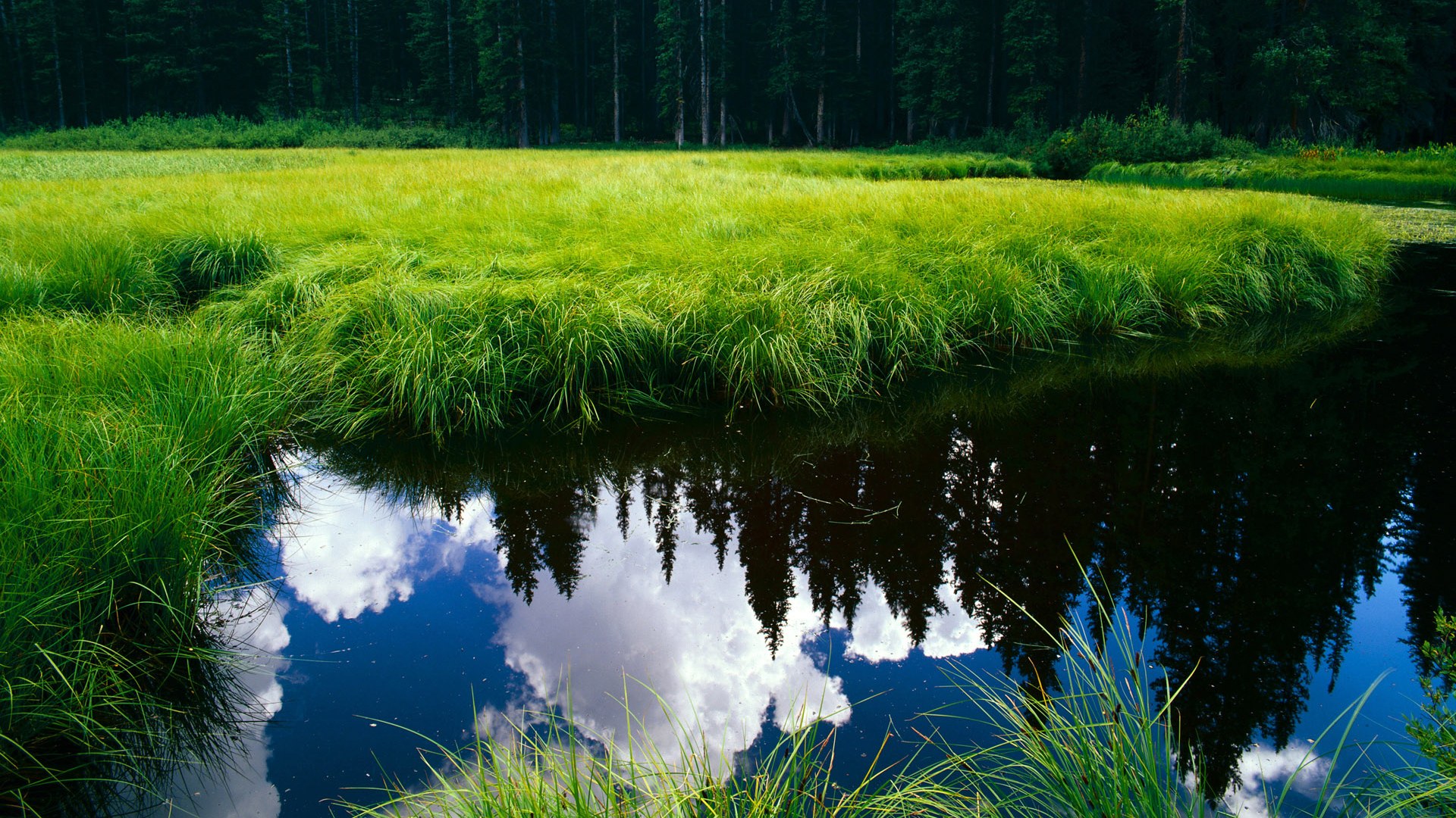 数据狂潮与铁壁坚城，当恩比德的火山喷发，撞上掘金的沉默矿脉