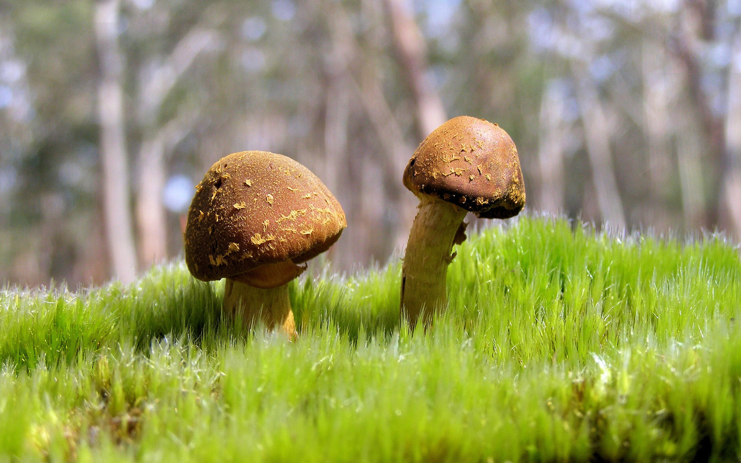 唯一性的回响,当爱尔兰的冷风遇见黄喜灿的炽热接管