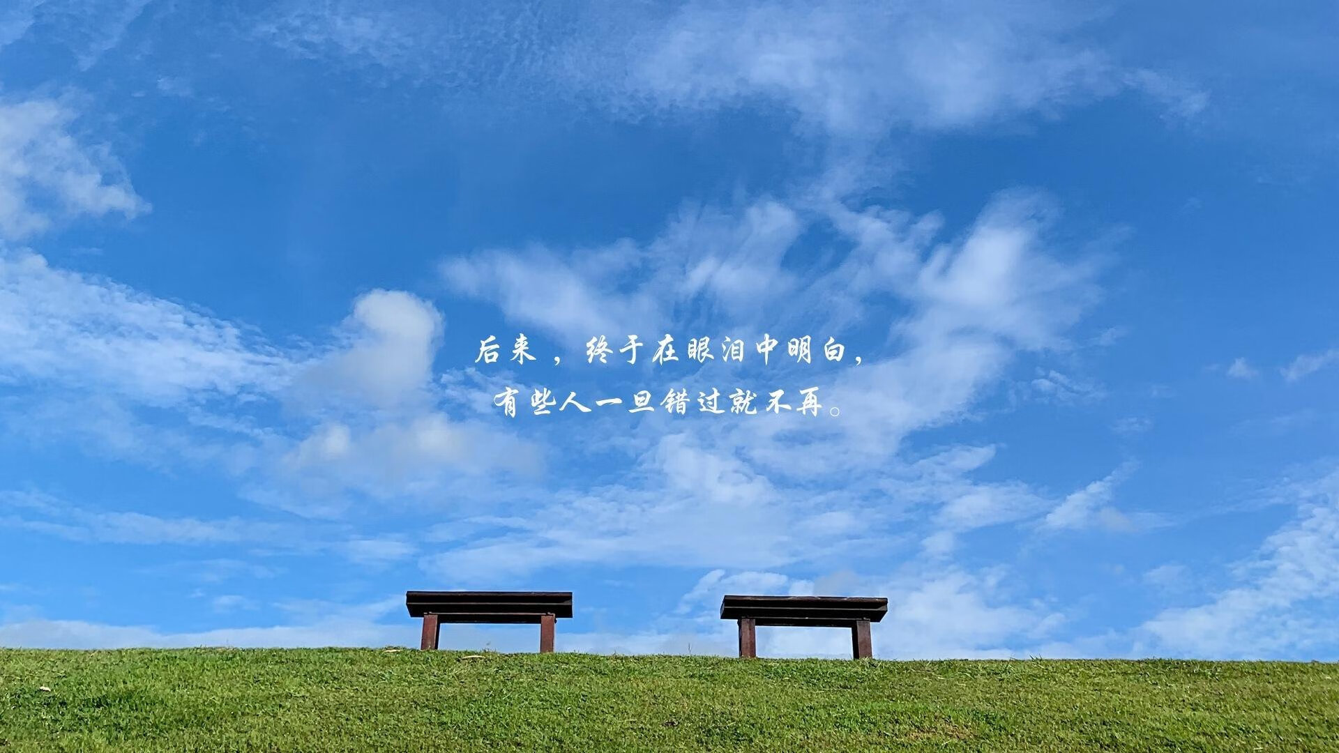 精密机器与人类心跳的终极角力