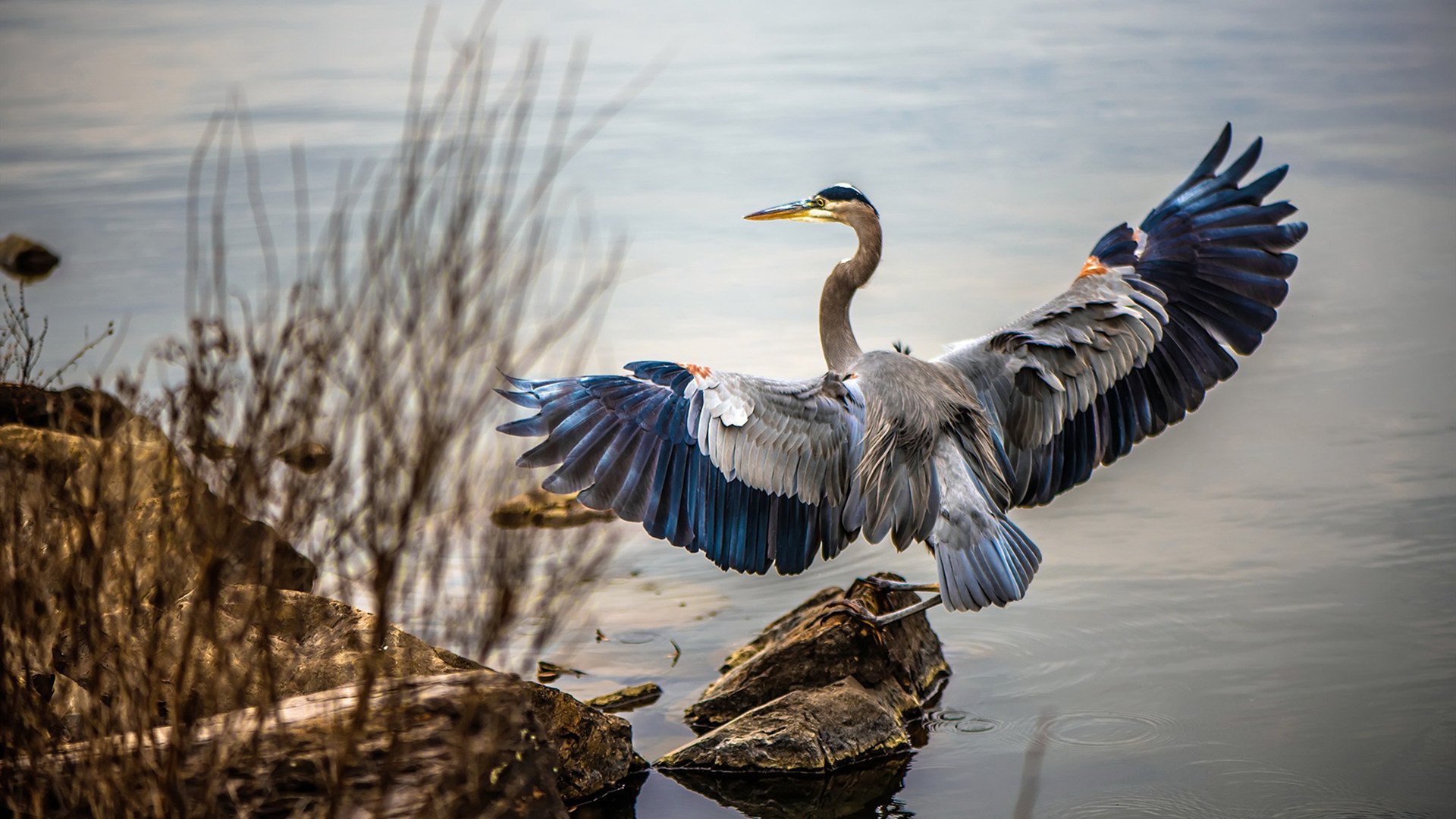 德布劳内独揽全场，比利时对阵瑞典，数据全面爆炸的绿茵指挥家
