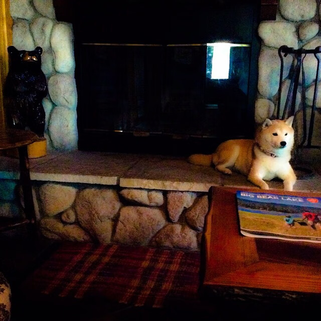 一瞬即永恒,罗德里戈在圣西罗的淬火之夜