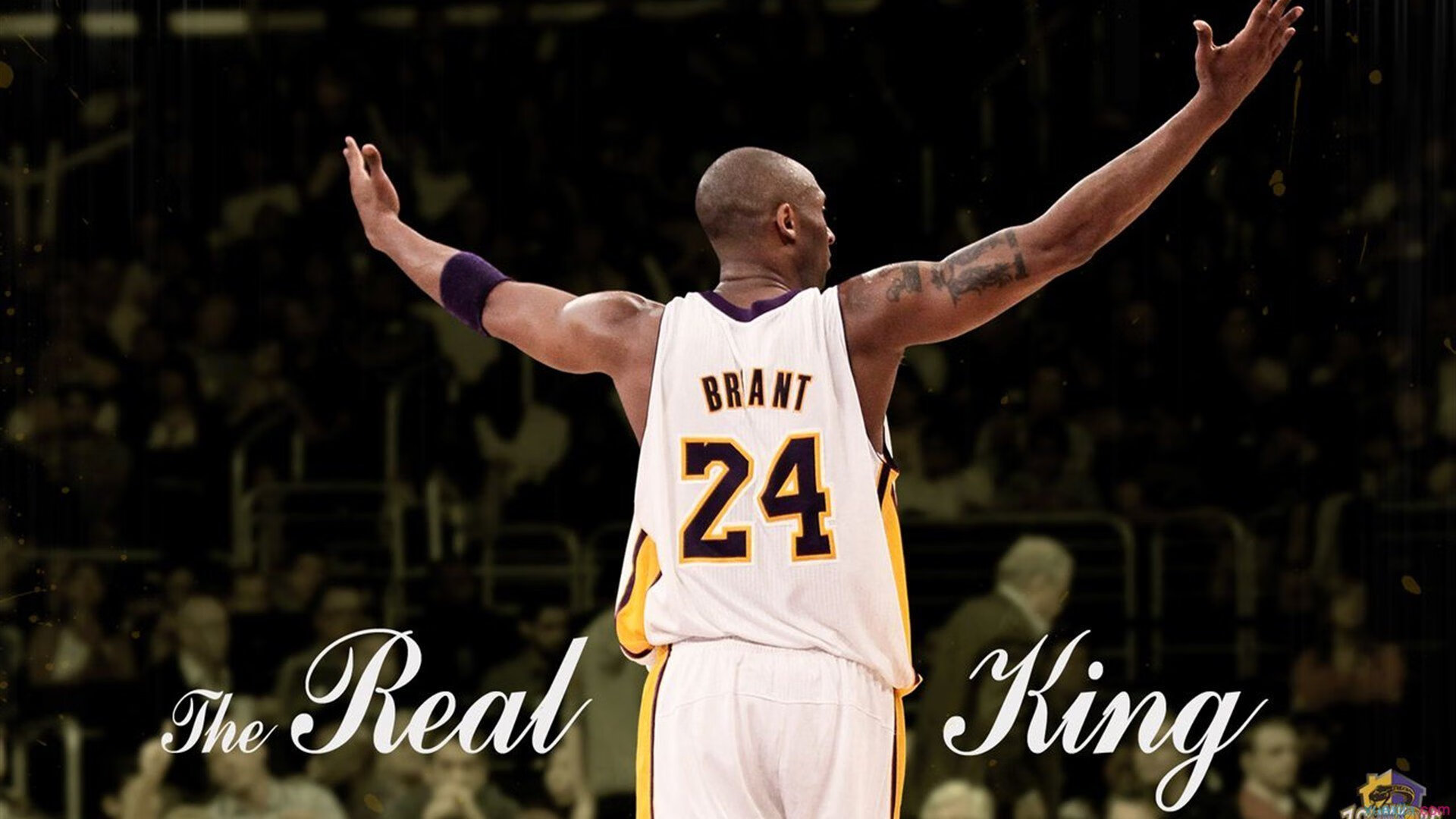 篮球与足球的对话，当浙江队与乔治同奏凯歌