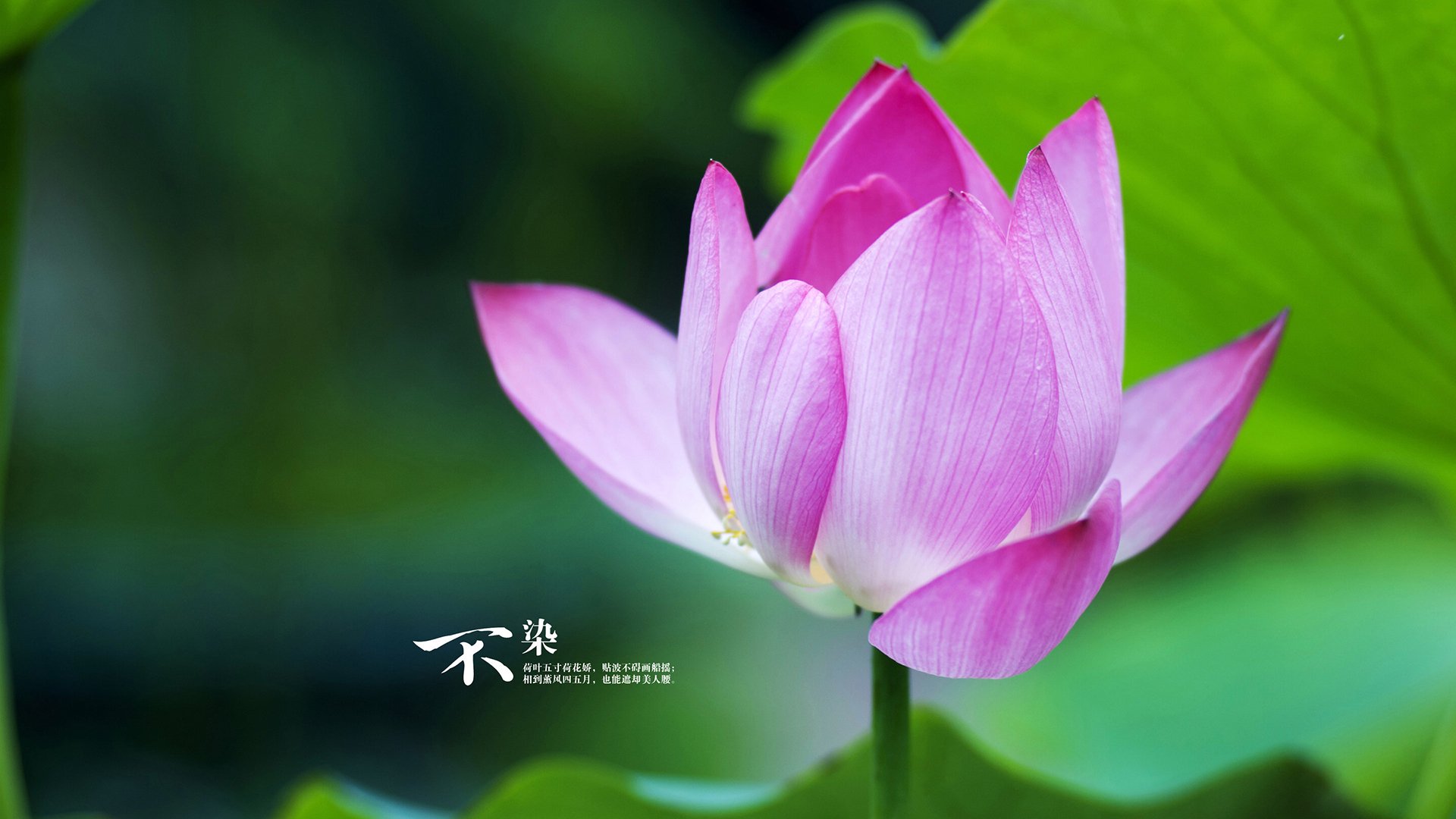 万福里大街式的狙击，当北美寒流改写欧洲足球剧本