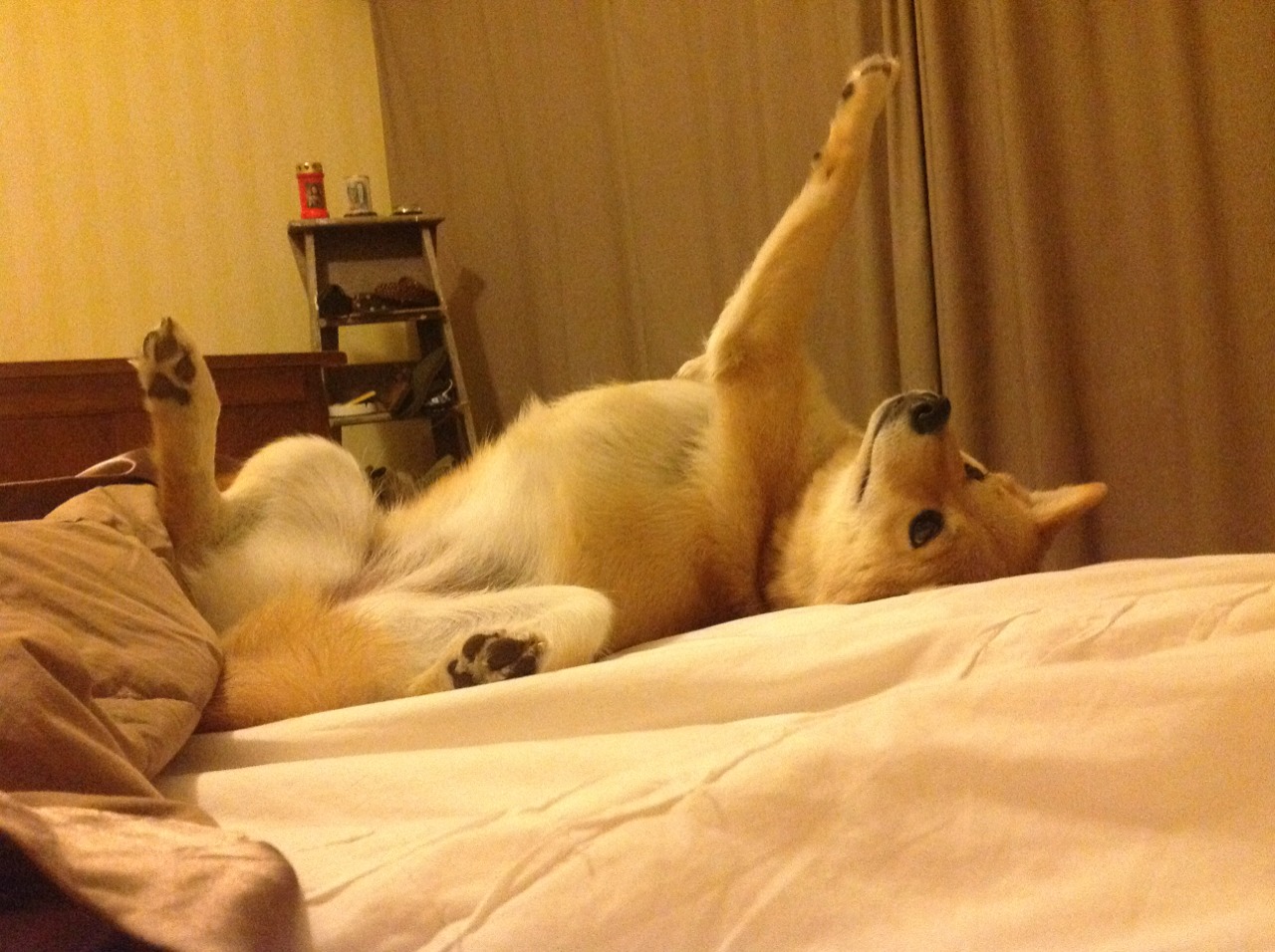 雷火电竞简介-战术棋局，广厦用伦纳德这张牌，压制了掘金的整盘棋