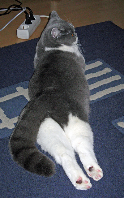 雷火电竞简介-窒息东决夜，三双锁定胜局，西亚卡姆第10次里程碑如何重塑系列赛？