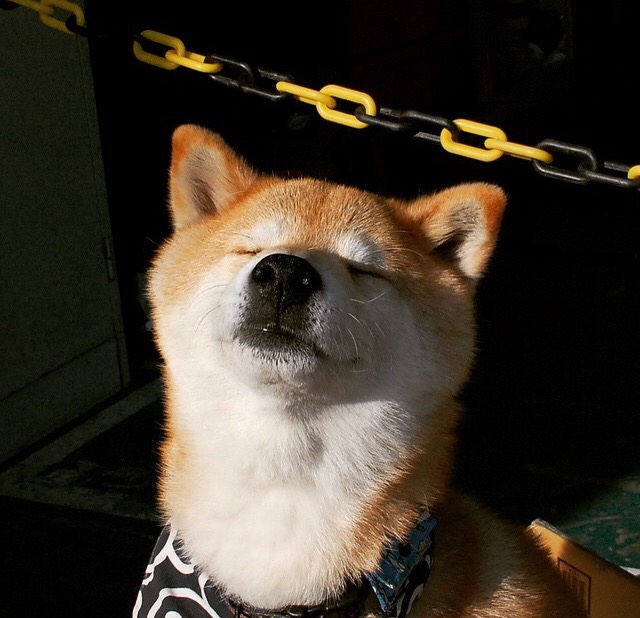 北境霜刃，巴尔韦德的一剑封喉，与国米在枫叶之国的冠军赌约