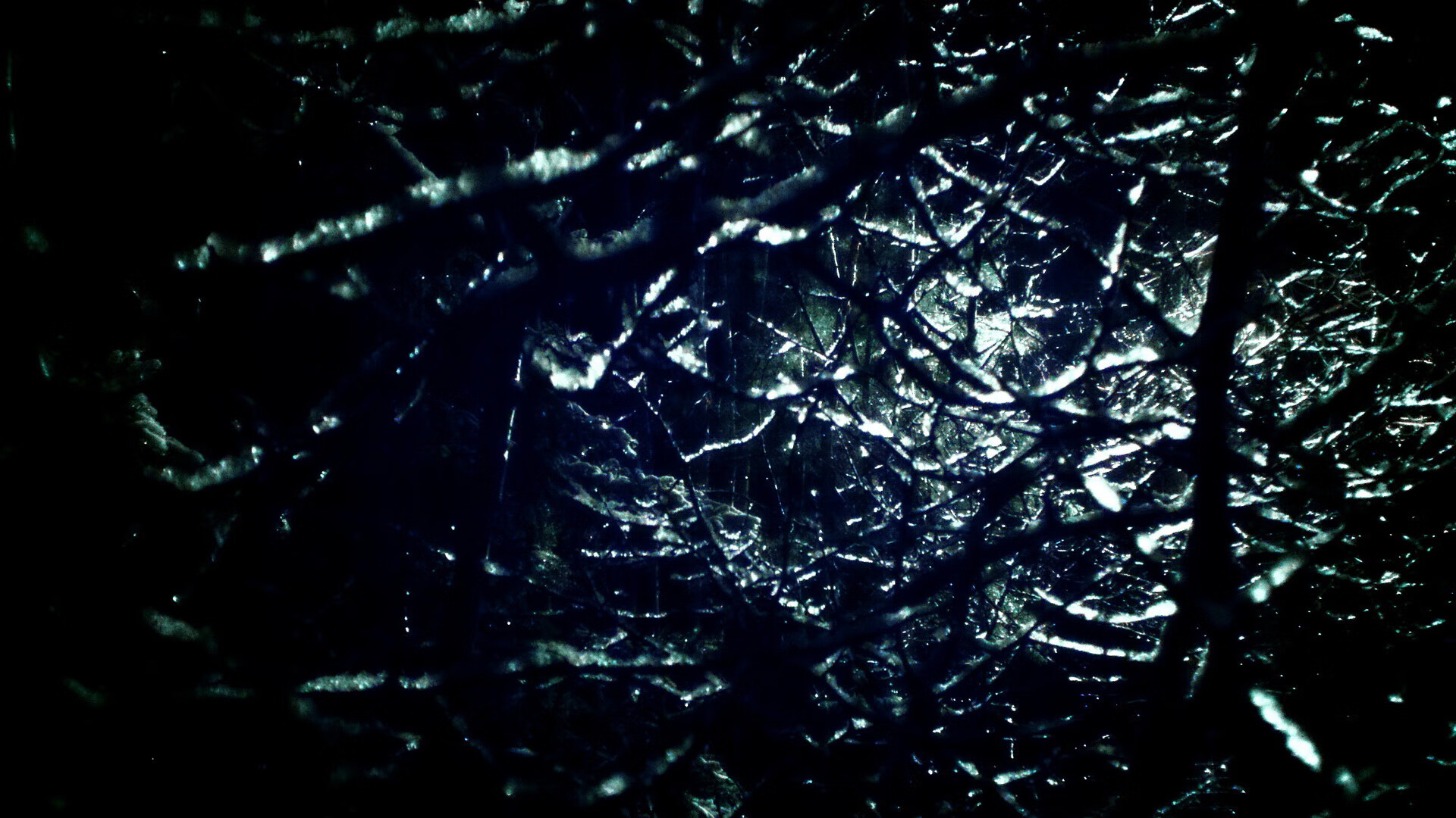 贝蒂斯的枫叶革命与皮克的赛道王座，一次跨界的唯一想象