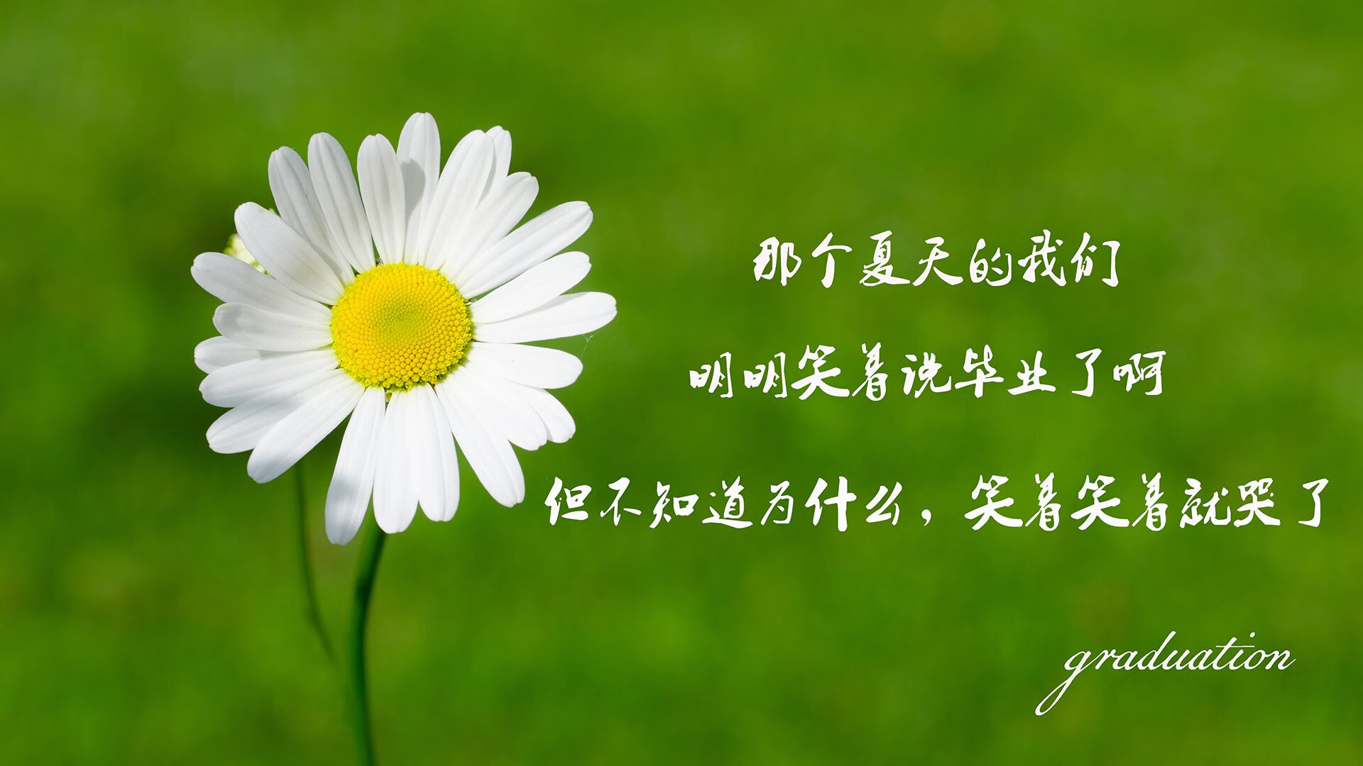 首先，请允许我为你拓展思维，拟定一个兼具文学性与张力的文章标题