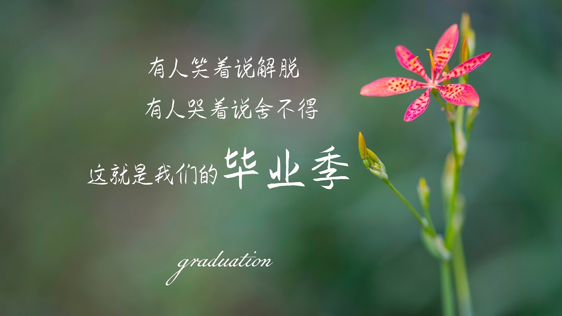 无冠之师与未来之王，一场冷门如何预言了美加墨的加冕