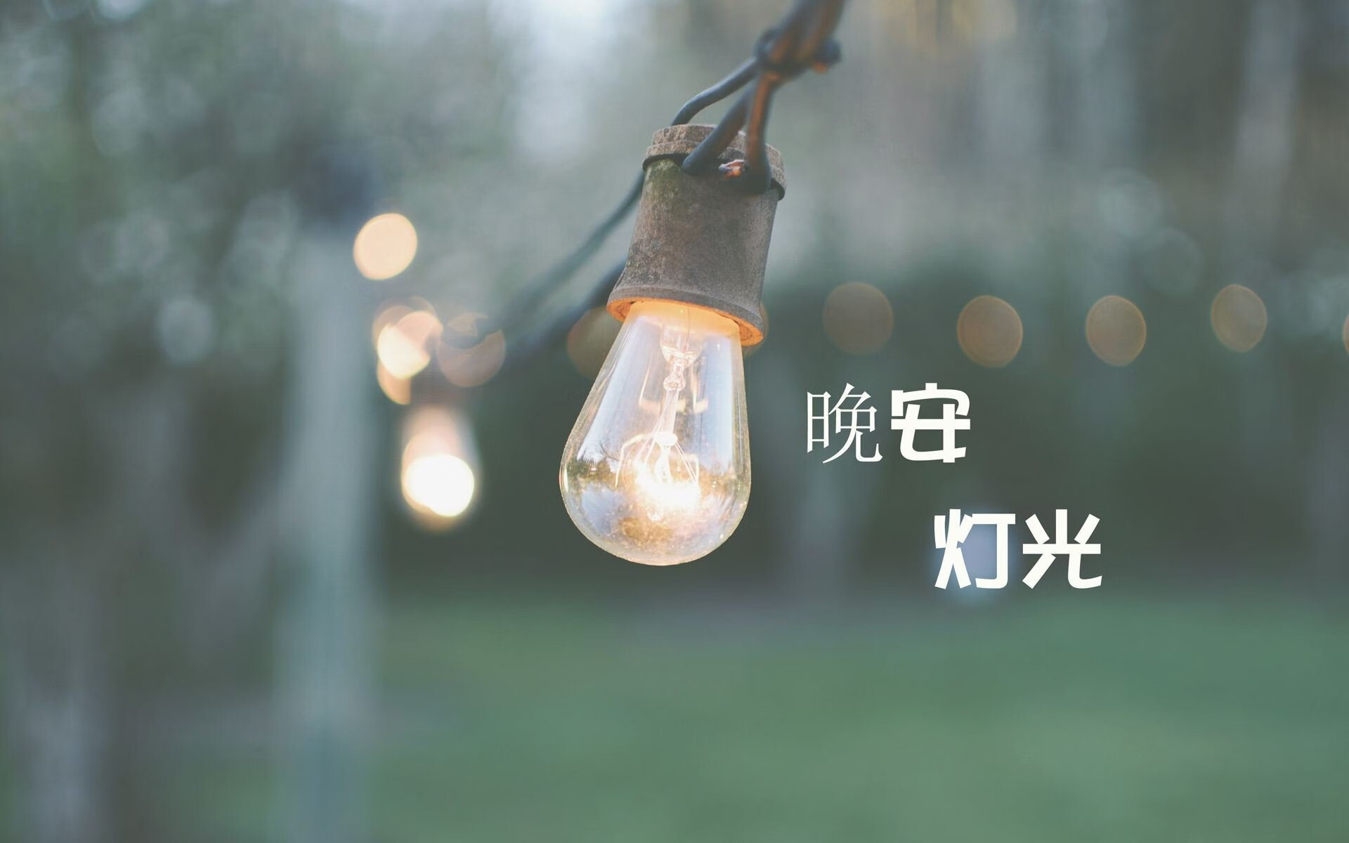 逆转之血，2026世界杯G组，西班牙的绝境回响与坎塞洛的致命一击