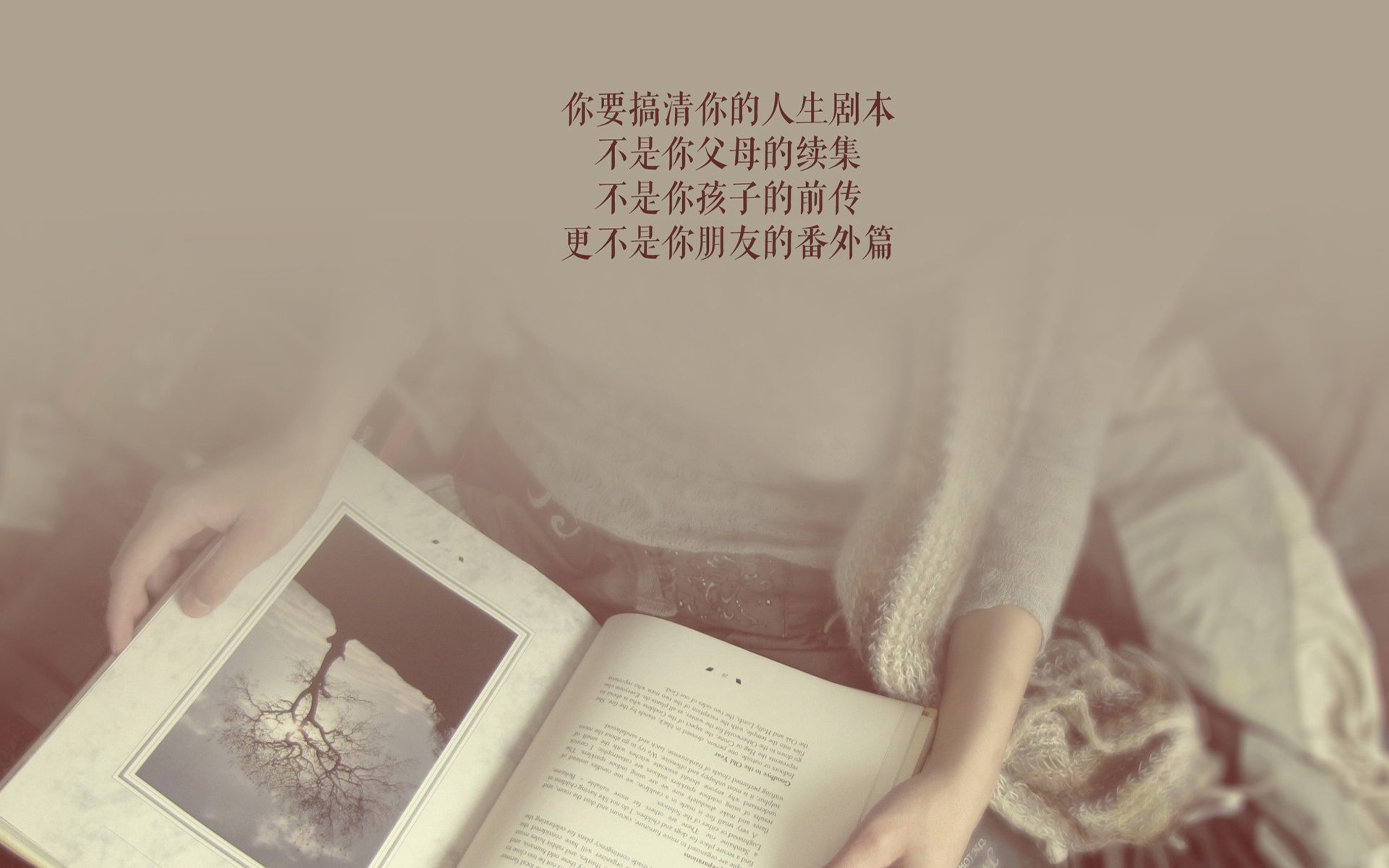 唯一之战，2026世界杯B组，巴西困局中的巴雷拉战术密码