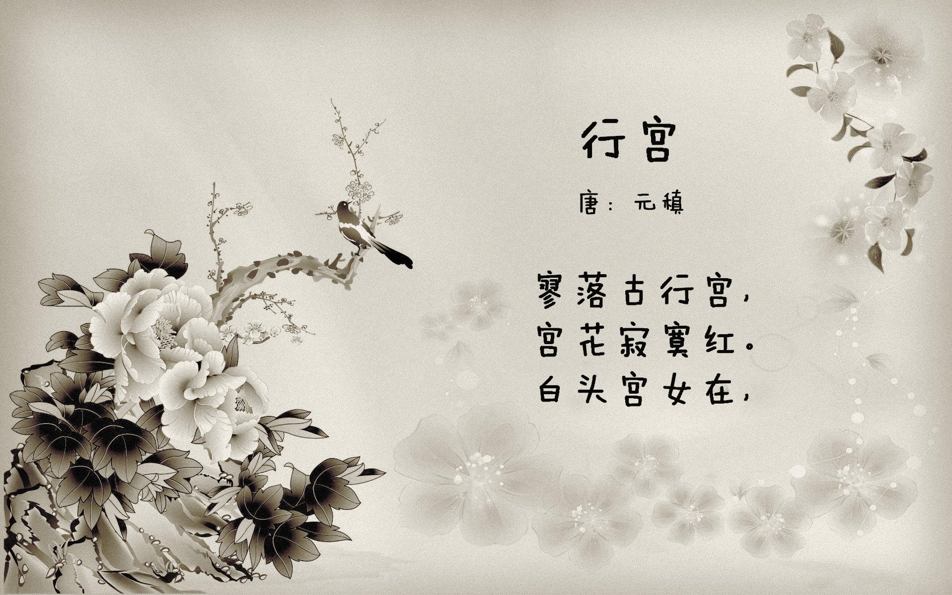 唯一解，2026世界杯F组，美国队如何用B费公式完成对智利的战术降维打击